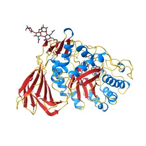acid-beta-glucosidase with N-nonyl-deoxynojirimycin