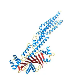 Structure of the Mycobacterium tuberculosis type VII secretion system chaperone EspG5 in complex with PE25-PPE41 dimer