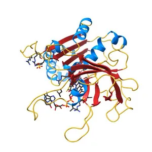 X-RAY STRUCTURE OF THE FERREDOXIN:NADP+ REDUCTASE FROM THE CYANOBACTERIUM ANABAENA PCC 7119 AT 1.8 ANGSTROMS