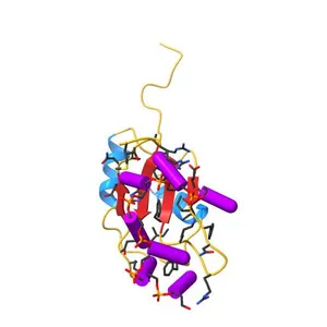 NMR Structure of the RNA Binding Domain of Human Fox-1 in Complex with UGCAUGU