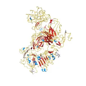 Cryo-EM structure of Her2 extracellular domain-Trastuzumab Fab-Pertuzumab Fab complex