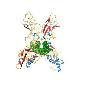CRYSTAL STRUCTURE OF THE NFKB P50/P65 HETERODIMER COMPLEXED TO THE IMMUNOGLOBULIN KB DNA
