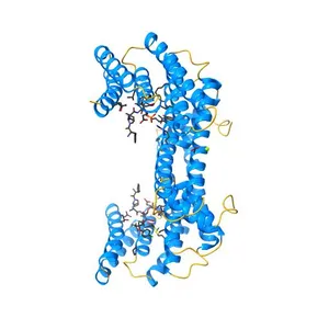 Ternary complex of Estrogen Receptor alpha peptide and 14-3-3 sigma C42 mutant bound to disulfide fragment PPI stabilizer 2