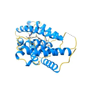 CRYSTAL STRUCTURE OF THE NUCLEAR RECEPTOR FOR VITAMIN D COMPLEXED TO VITAMIN D