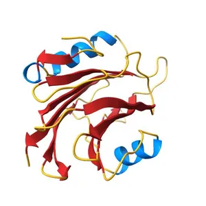 High resolution crystal structure of FraC in the monomeric form