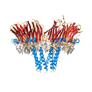 Crystal structure of FraC with lipids