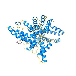 Crystallographic analysis of the human vitamin D binding protein