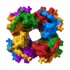 CATALYTIC DOMAIN FROM DIHYDROLIPOAMIDE SUCCINYLTRANSFERASE