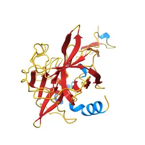 CRYSTAL STRUCTURE OF ELAFIN COMPLEXED WITH PORCINE PANCREATIC ELASTASE