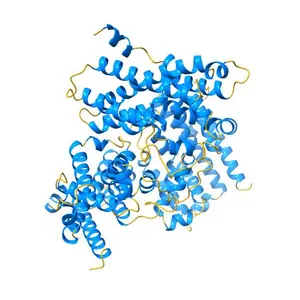 Structural basis for activity of TRIC counter-ion channels in calcium release
