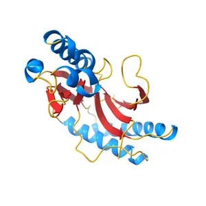 AKAP18 delta central domain