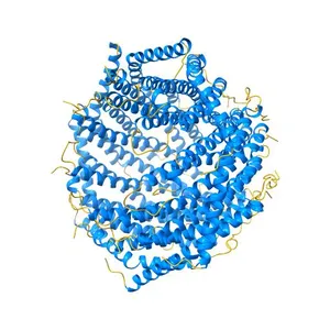 PROTEASOME ACTIVATOR REG(ALPHA)