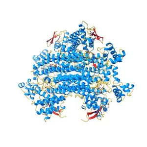 FUMARASE C WITH BOUND CITRATE