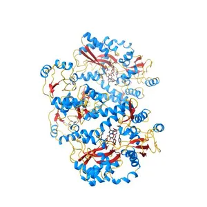 Structure of HPV18 E6 oncoprotein in complex with mutant E6AP LxxLL motif