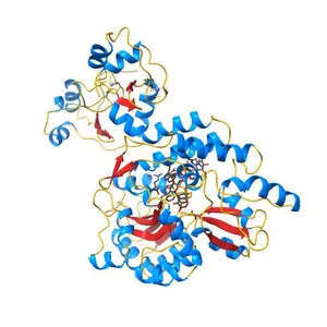 Structure of HPV16 E6 oncoprotein in complex with mutant IRF3 LxxLL motif