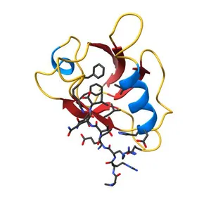 Crystal structure of the PTPN3 PDZ domain bound to the HPV16 E6 oncoprotein C-terminal peptide