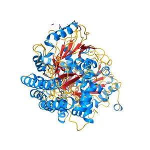 L,L-Diaminopimelate aminotransferase from Chlamydomonas reinhardtii