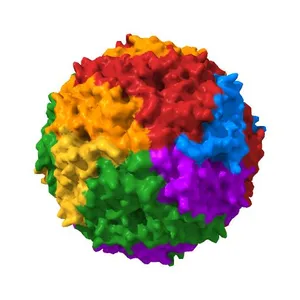 Structural basis of iron transport gating in Helicobacter pylori ferritin