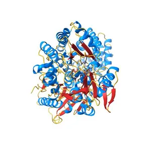 Structure of human O-GlcNAc transferase and its complex with a peptide substrate