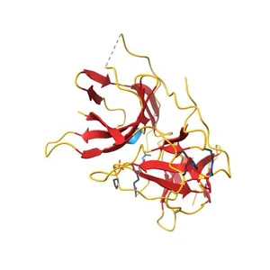 Dengue virus protease covalently bound to a peptide