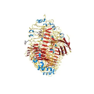 Crystal structure of the human TLR4-human MD-2-E.coli LPS Ra complex