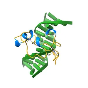 Structural Basis of Selective Binding of Nonmethylated CpG Islands by the CXXC Domain of CFP1