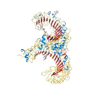 Crystal structure of the TLR1-TLR2 heterodimer induced by binding of a tri-acylated lipopeptide