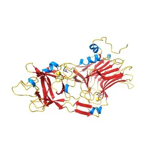 TETANUS TOXIN C FRAGMENT