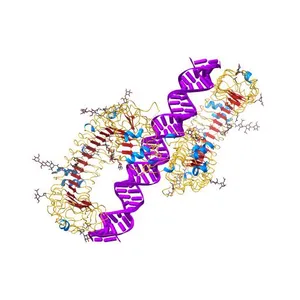 Mouse Toll-like receptor 3 ectodomain complexed with double-stranded RNA