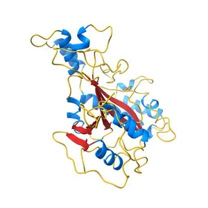 Crystal Structure Analysis of the Microbial Transglutaminase