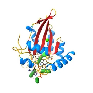 Crystal structure of APOBEC3A in complex with a single-stranded DNA