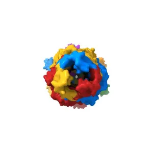 Structure of the MacAB-TolC ABC-type tripartite multidrug efflux pump