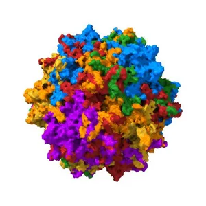Structure of Adeno-associated virus type 2 VLP