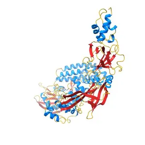 Human TOP3B-TDRD3 complex