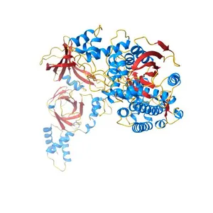 Crystal structure of the human topoisomerase III alpha-RMI1 complex