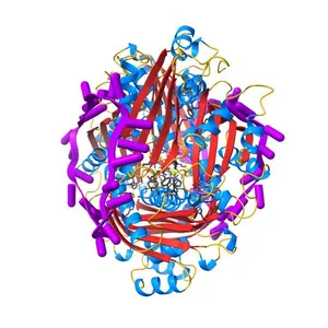 Crystal structure of the HutP antitermination complex bound to the HUT mRNA
