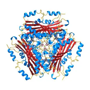 Crystal structure of the single-stranded RNA binding protein HutP from Geobacillus thermodenitrificans