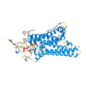 Crystal structure of Metarhodopsin II in complex with a C-terminal peptide derived from the Galpha subunit of transducin