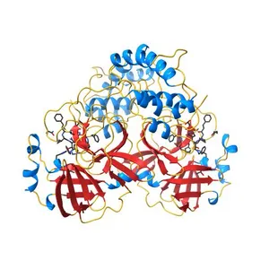 Structure of SARS coronavirus main protease in complex with the alpha-ketoamide (S)-N-benzyl-3-((S)-2-cinnamamido-3-cyclopropylpropanamido)-2-oxo-4-((S)-2-oxopyrrolidin-3-yl)butanamide (Cinnamoyl-cyclopropylalanine-GlnLactam-CO-CO-NH-benzyl)