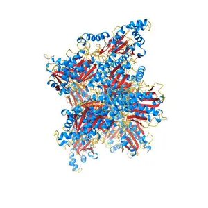Crystal structure of human phosphofructokinase-1 in complex with ADP, Northeast Structural Genomics Consortium Target HR9275