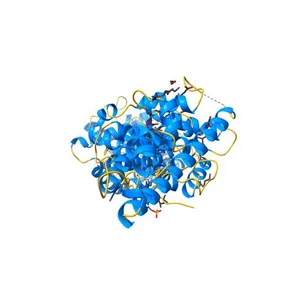Crystal Structure of Region II from Plasmodium vivax Duffy Binding Protein