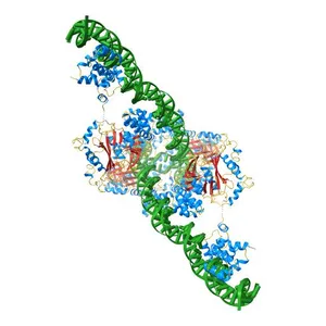 Crystal structure of the bacteriophage Mu transpososome