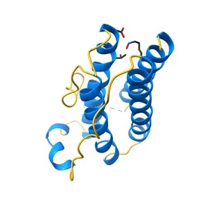 Human obesity protein, leptin