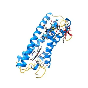Structure of E. coli superoxide oxidase