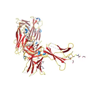Leptin Receptor-antibody complex