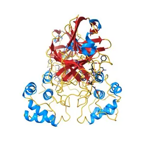 The crystal structure of COVID-19 main protease in complex with an inhibitor N3