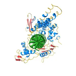 Human DNA Topoisomerase I (70 Kda) In Complex With The Indolocarbazole SA315F and Covalent Complex With A 22 Base Pair DNA Duplex