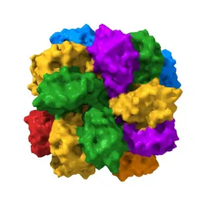 THE CRYSTAL STRUCTURE OF RUBISCO FROM ALCALIGENES EUTROPHUS TO 2.7 ANGSTROMS.