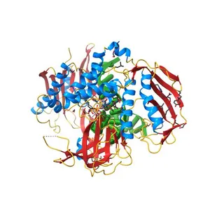 Phi29 DNA polymerase complexed with primer-template DNA and incoming nucleotide substrates (ternary complex)