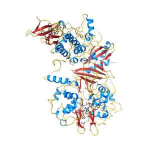 Structure of an active form of mammalian AMPK
